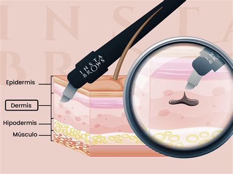 Pin On Microblading InstaBrows