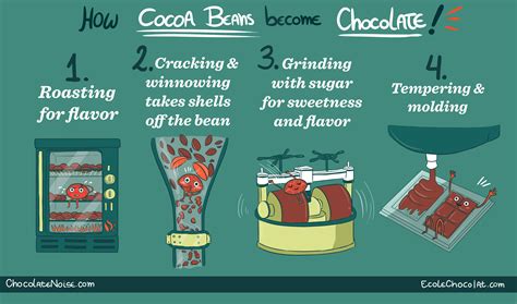 Chocolate-making process illustrations :: Behance