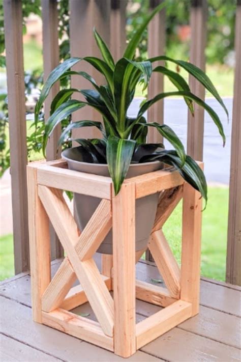 Pin On Decorating With House Plants Stands