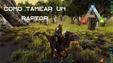 Como Tamear Un Raptor De Manera Fácil Y Rápida En Ark Survival Evolved