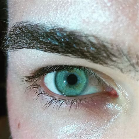 Green Eye Green Eyes Teal Eyes Blue Green Eyes