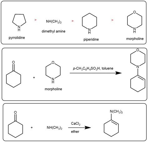 STORK ENAMINE SYNTHESIS: ALKYLATION OF ALDEHYDE OR KETONE – My ...