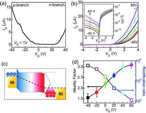 Diode Characteristics A The Ambipolar Transport Of The Ni And Gr Ni