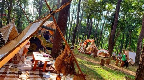 Ngopi Asyik Di Tengah Hutan Pinus Kota Palembang Sijori Id