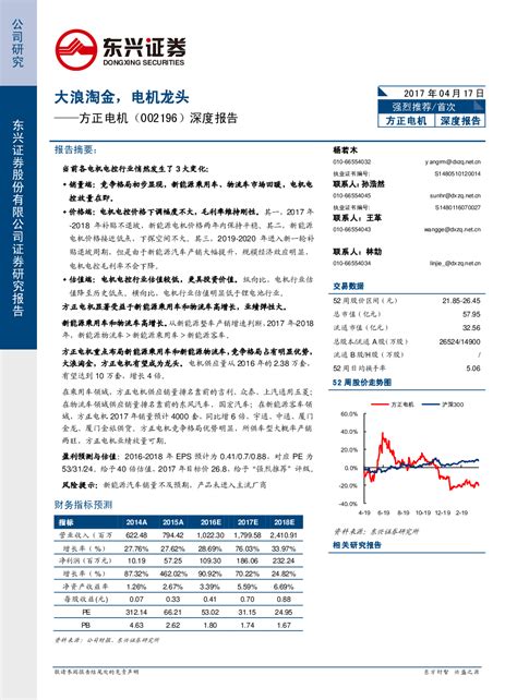 深度报告：大浪淘金，电机龙头