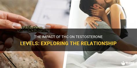 The Impact Of Thc On Testosterone Levels Exploring The Relationship Medshun