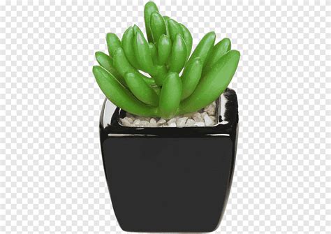 Flowerpot Cactaceae Succulent Plant Artificial Flower Plant Leaf