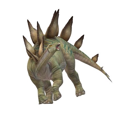 Stegosaurus Isolated on a Transparent Background 24064115 PNG