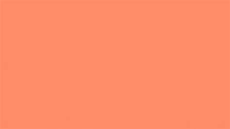 Free Download Dark Salmon Color 1024x768 Light Salmon Pink 1024x768