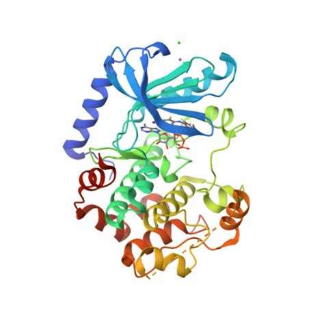 RCSB PDB 3EQG X Ray Structure Of The Human Mitogen Activated Protein