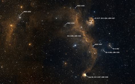 Seagull Nebula IC 2177 DeepSky Corner