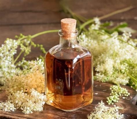 How To Make Herbal Tinctures Mighty Goodness