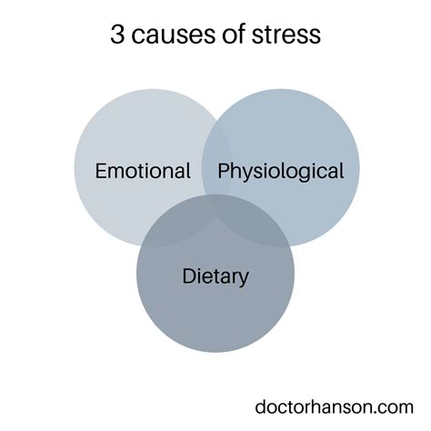 The 3 main causes of stress - Acupuncture , Dry Needling, Prolotherapy in Tampa, FL