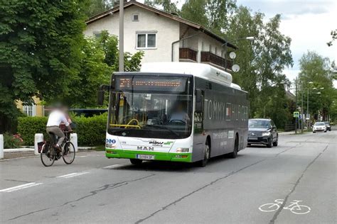 Albus Salzburg Verkehrsbetrieb Fotos Bus Bild De