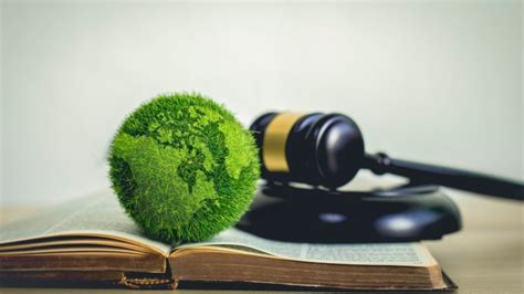 Experts Explain Environmental Law And Regulation