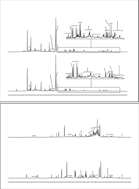 Mhz H Nmr Spectrum Of Urine Obtained From Before And After