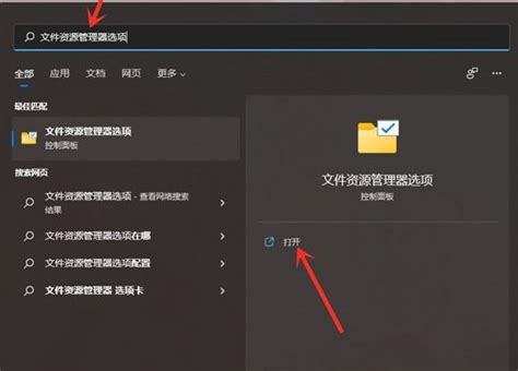 Win11文件后缀名如何显示？win11文件后缀名显示操作方法 纯净之家