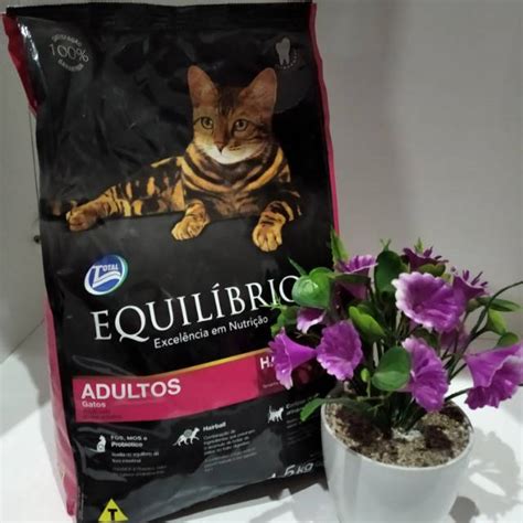 Jual Equilibrio Adult Cat Kg Makanan Kucing Equil Adult Setara