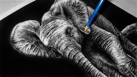 Realistic ELEPHANT drawing || Baby elephant pencil portrait - YouTube