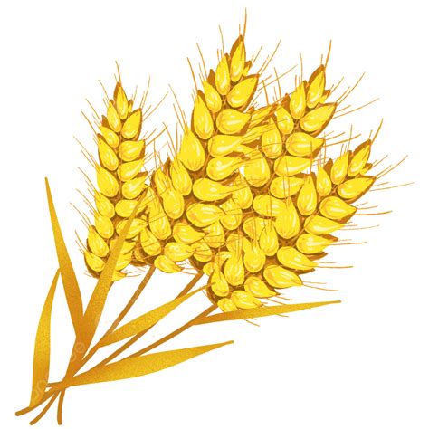 Wheat Ears Png Picture Cartoon Autumn Wheat Ears Cartoon Autumn