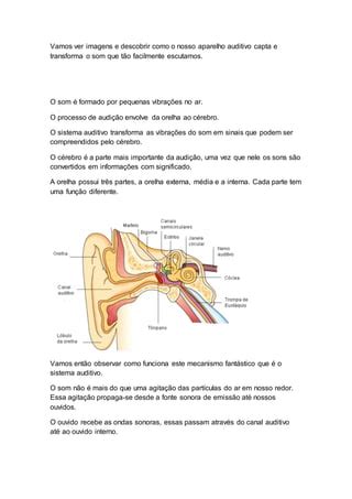 Como Funciona O Aparelho Auditivo PDF