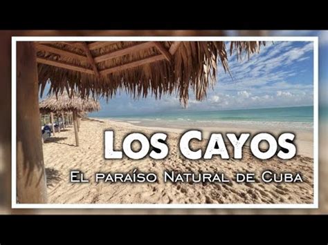 Viaje A Cayo Largo Actualizado Septiembre 2024