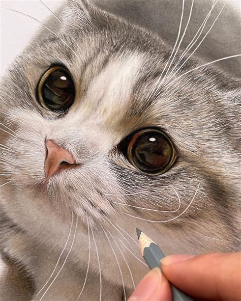 Feline Faces Get a Close-Up in Amazing Hyperrealistic Drawings