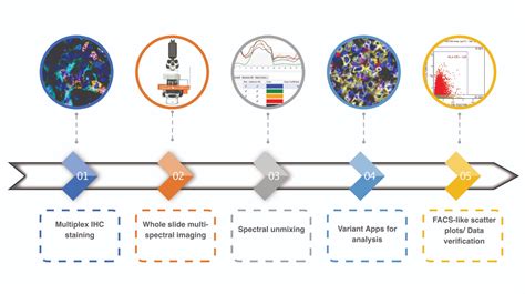 Tsa Multiplex Ihc Assay Kits