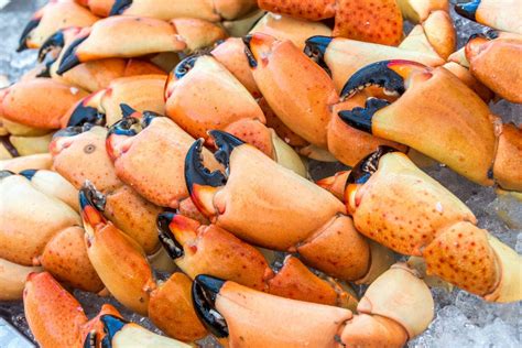 Best Stone Crab In Florida Winners 2019 Usa Today 10best