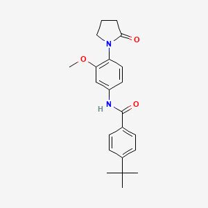 4 Tert Butyl N 3 Methoxy 4 2 Oxopyrrolidin 1 Yl Phenyl Benzamide