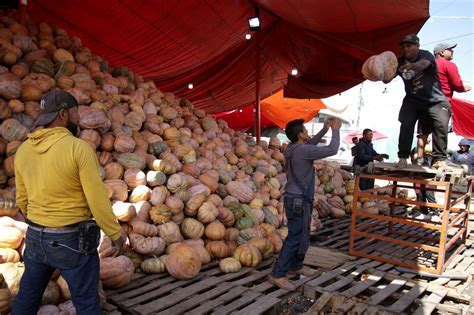 Garantizan Abasto De Calabaza Y Tejocote Para D A De Muertos