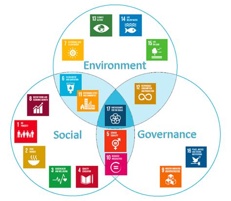 Synery Cmc United Nations Sustainable Development Goals 2030 Agenda Corporate Social