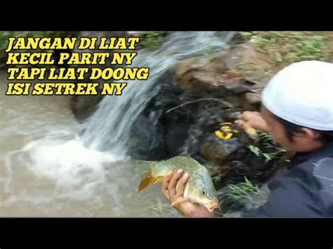 Spot Mancing Di Parit Kecil Hasil Ny Melimpah Ruah Youtube