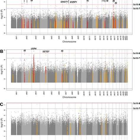 Manhattan Plots For Genome Wide Associations With Adipsin A Ghrelin