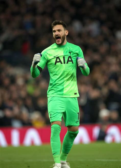 雨果·洛里斯（hugo Lloris） 懂球百科 专业权威的足球百科全书