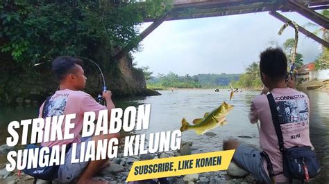 STRIKE IKAN BABON DI SUNGAI PENGHUNI LIANG KILUNG VLOG Fishing