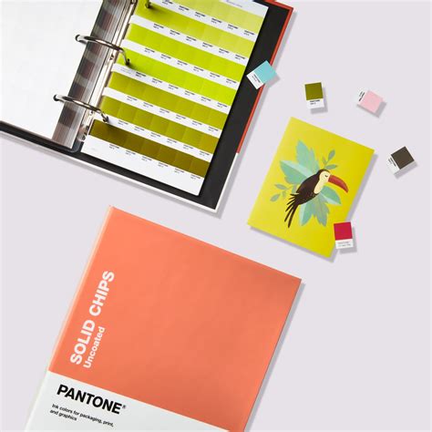 Pantone Solid Chips Coated And Uncoated