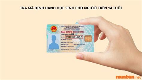 Hướng dẫn tra mã định danh học sinh nhanh nhất 2025