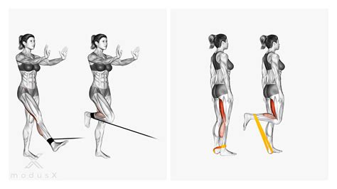 Nordic Hamstring Curls Mit Gerät oder ohne Gerät modusX