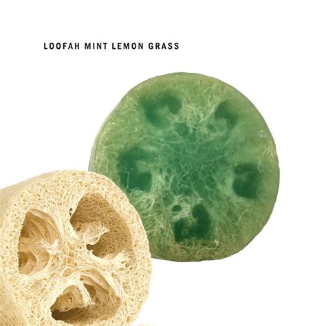 Lauren Marier Natural Organic Loofah Mint Lemongrass Exfoliating And Relaxing Bar