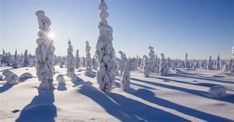 Saariselka snowmobile tour safari into the wilderness | musement