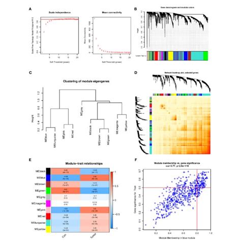 Co Expression Network Of DEGs Between The Two PANoptosis Clusters A