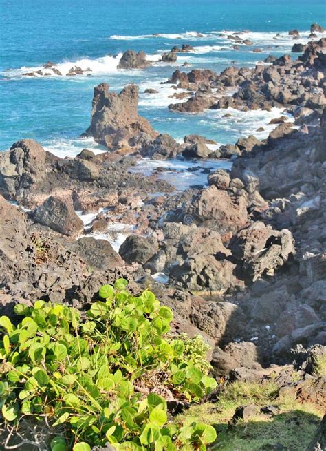 Black Volcanic Lava Rock Along The Beach Stock Photo Image Of Geology