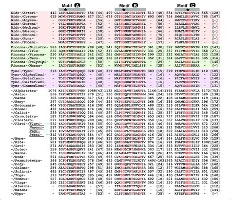 Sequence Alignment Of Motifs A C Of Rdrps From Representative