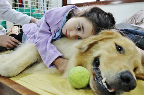 Terapia Assistida Por Animais Melhora A Qualidade De Vida De Pacientes