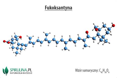 Fukoksantyna Algi Spirulina I Chlorella