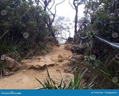 Mount Kinabalu Hiking Trail Stock Image - Image of nature, high: 122397467