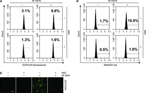 Generation Of Mitochondrial Mediated Ros By The Combined Treatment In Download Scientific