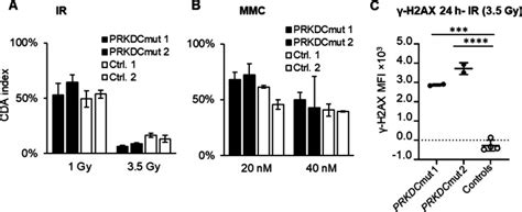 Clinical Measurement Of Cellular Dna Damage Hypersensitivity In