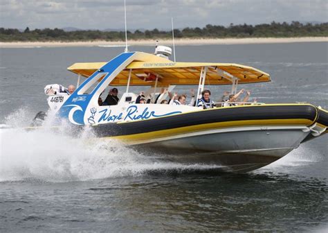 Top Whale Watching Tours And Vantage Points In Port Macquarie Visit Nsw